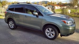 Auto Tinting